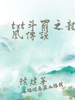 txt斗罗之龙凰传说