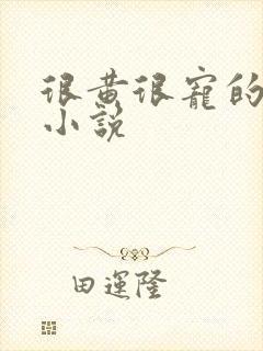 很黄很宠的总裁小说