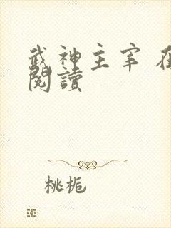 武神主宰 在线阅读