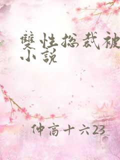 双性总裁被调教小说