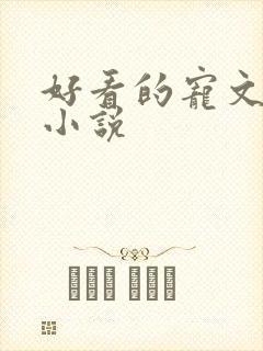 好看的宠文甜文小说