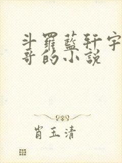 斗罗蓝轩宇是我哥的小说