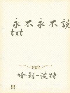 永不永不说再见txt