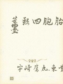 叶熙四胞胎厉子墨