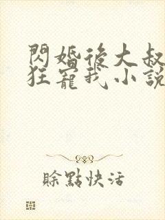 闪婚后大叔每天狂宠我小说完整版本