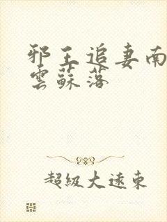 邪王追妻南宫流云苏落