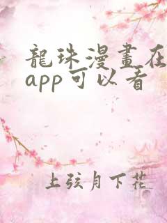 龙珠漫画在哪个app可以看