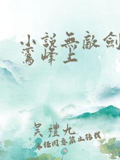 小说无敌剑域青鸾峰上