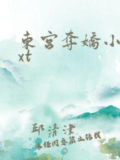 东宫夺娇小说txt