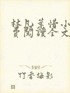 林凡叶惜小说免费阅读全文最新8191