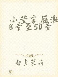 小莹客厅激情38章至50章