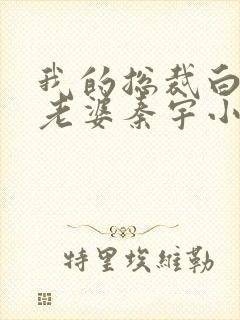 我的总裁白富美老婆秦宇小说正版