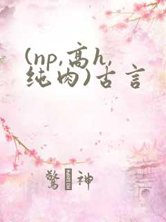 (np,高h,纯肉)古言