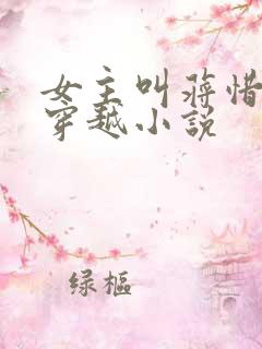 女主叫蒋惜纯的穿越小说