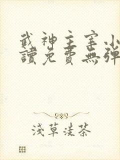 武神主宰小说阅读免费无弹窗