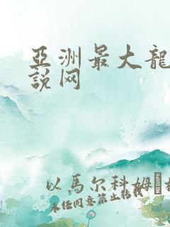 亚洲最大龙腾小说网