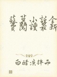 苏莫小说全文免费阅读最新章节