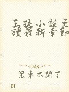 王扶小说免费阅读最新章节无弹窗