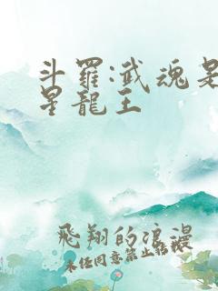 斗罗:武魂是铸星龙王