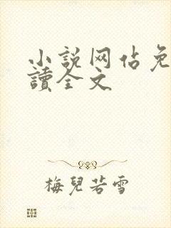 小说网站免费阅读全文