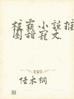 校霸小说推荐校园甜宠文