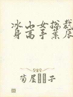 冰山女总裁的贴身高手叶辰