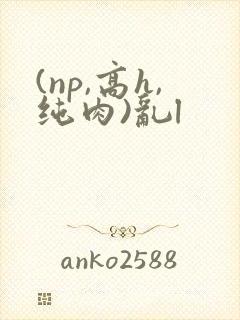 (np,高h,纯肉)乱l