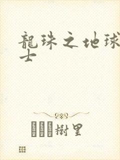 龙珠之地球人战士