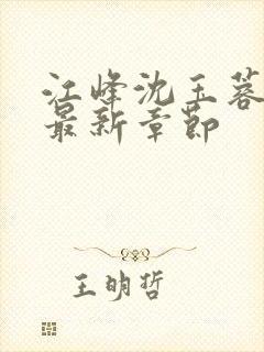 江峰沈玉蓉小说最新章节