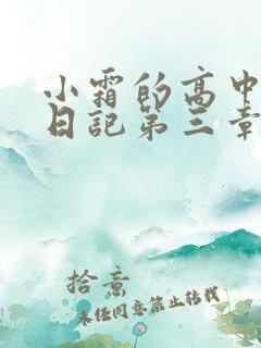 小霜的高中成长日记第三章