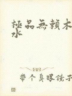 极品无赖木石山水