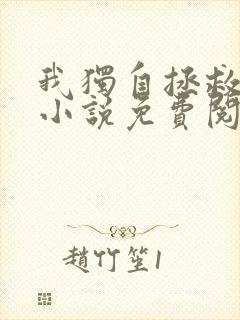 我独自拯救反派小说免费阅读无弹窗