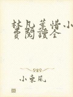 林凡叶惜小说免费阅读全