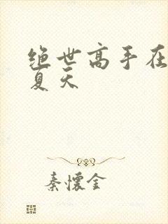 绝世高手在都市夏天