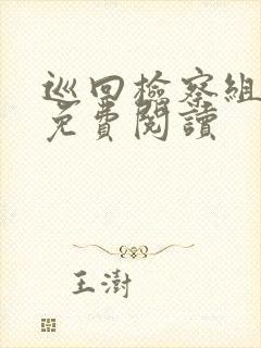 巡回检察组小说免费阅读