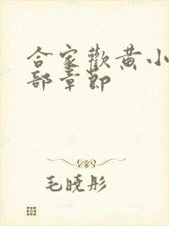 合家欢黄小梅全部章节