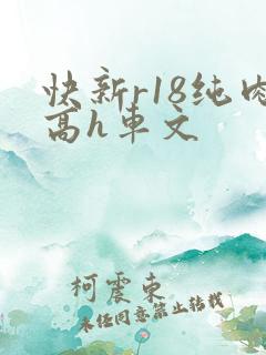 快新r18纯肉高h车文
