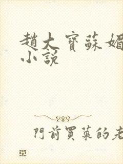 赵大宝苏媚全文小说