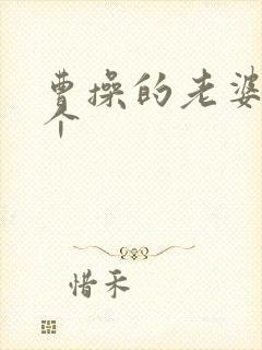 曹操的老婆是哪个