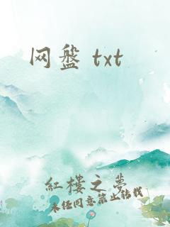 网盘 txt