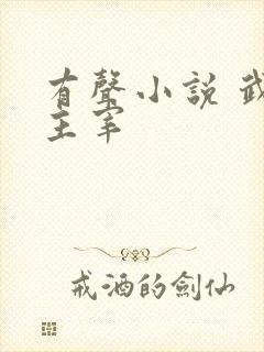 有声小说 武神主宰