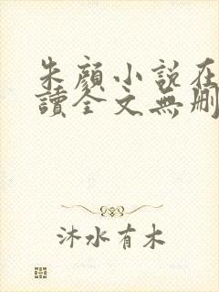 朱颜小说在线阅读全文无删减