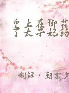 皇上在御花园c了太子妃的网剧