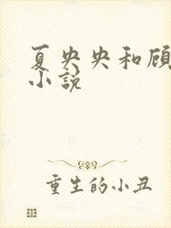 夏央央和顾祁琛小说