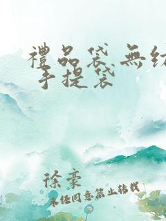 礼品袋 无纺布 手提袋