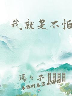 我就是不怕小说