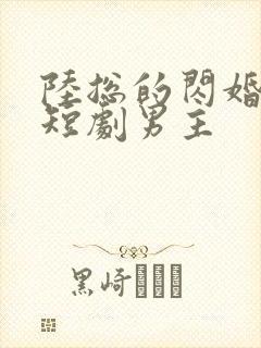 陆总的闪婚甜妻短剧男主