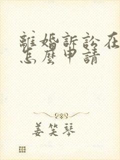 离婚诉讼在网上怎么申请