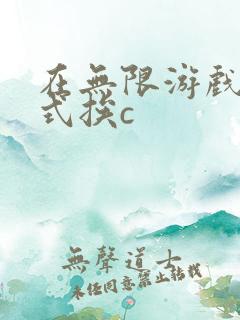 在无限游戏里花式挨c