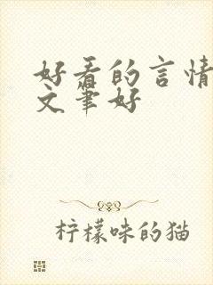 好看的言情小说文笔好